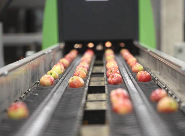 istock Clean and fresh apples on conveyor belt 656674202