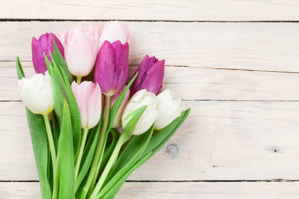 istock Colorful tulips bouquet 656676982