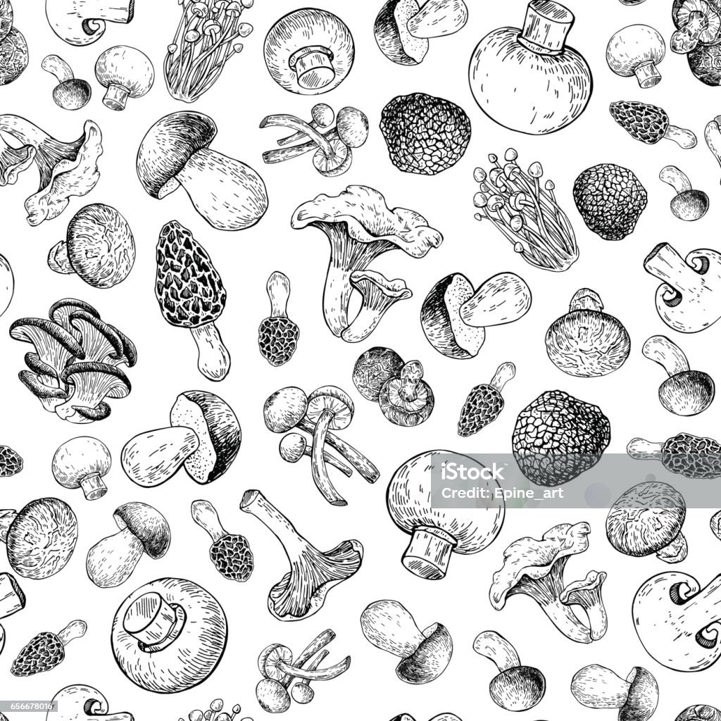 Mushroom hand drawn vector seamlees pattern. Isolated Sketch food drawing background. Mushroom hand drawn vector seamlees pattern. Isolated Sketch food drawing background. Champignon, morel, truffle, enokitake, porcini, oyster, honey agaric, chanterelle, wood ear shiitake Organic vegetarian product Mushroom stock vector