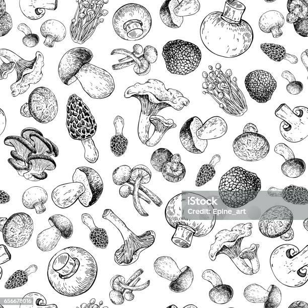 Mushroom Hand Drawn Vector Seamlees Pattern Isolated Sketch Food Drawing Background Stock Illustration - Download Image Now