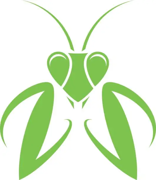 Vector illustration of Praying mantis