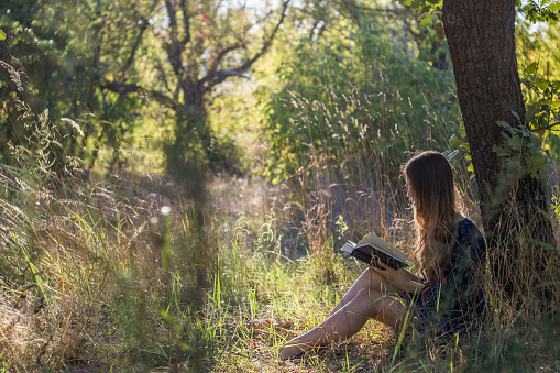 Girl sitting under a tree reading book in summer forest