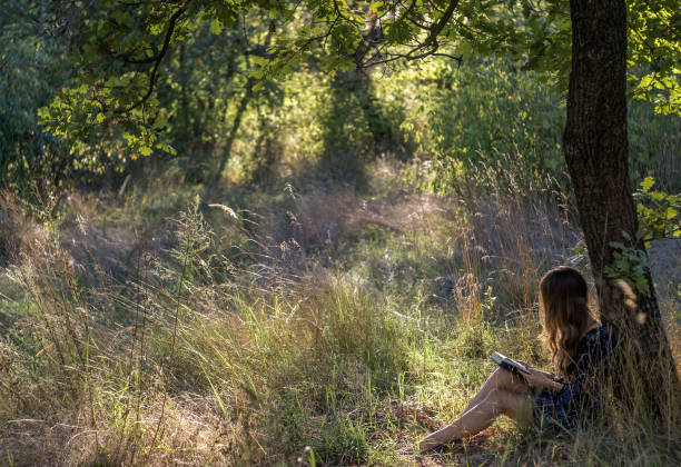 istock Girl reading book in summer forest 656680244