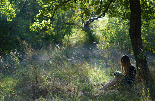 Girl sitting under a tree reading book in summer forest