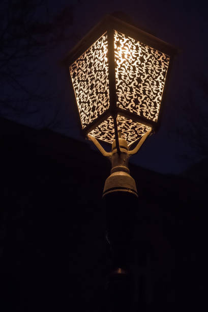 istock Electric light on the street 656684688