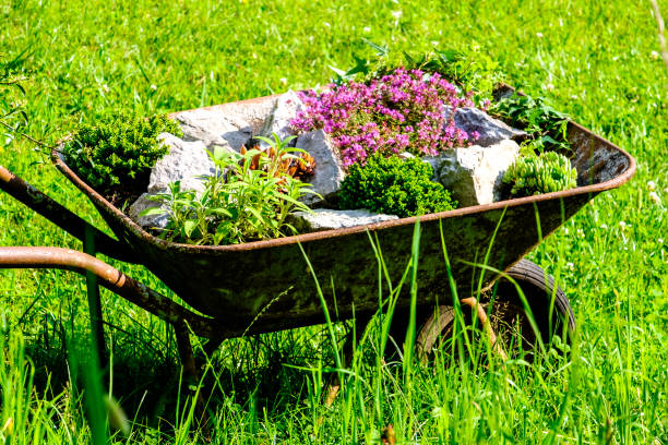 istock flowers in an old cart 656685718