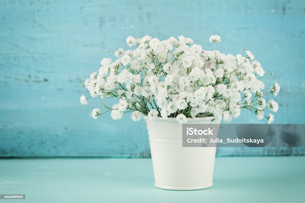 Hermoso ramo de flores de primavera GYPSOPHILLA en florero blanco. Fondo vintage. Estilo rústico. - Foto de stock de Flor libre de derechos