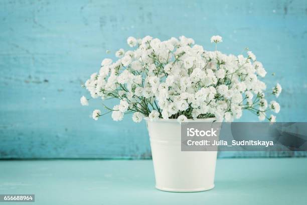 Hermoso Ramo De Flores De Primavera Gypsophilla En Florero Blanco Fondo Vintage Estilo Rústico Foto de stock y más banco de imágenes de Flor