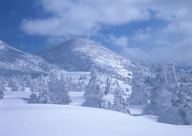 mt. verwaltungssitz - präfektur aomori stock-fotos und bilder