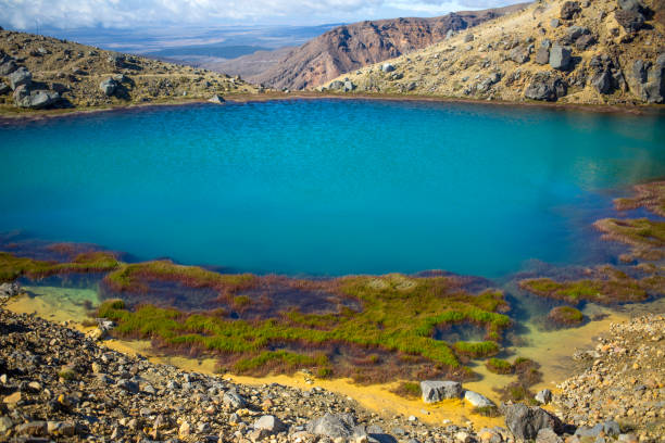 istock New Zealand 656698682