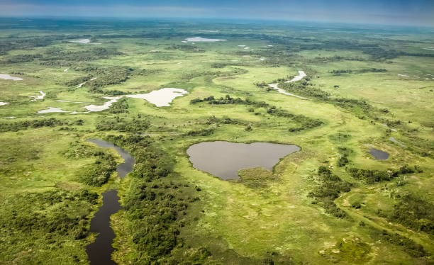 Aerial view of Pantanal wetlands, Pantanal, Brazil Brazil pantanal wetlands stock pictures, royalty-free photos & images