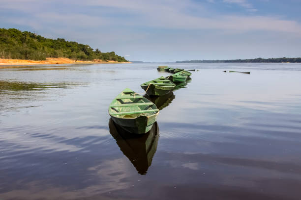 Anavilhanas Archipelago, Brazil