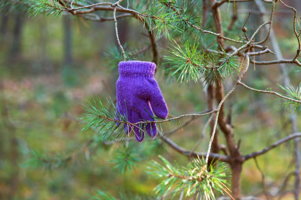 glove on a branch, lost a glove, a purple glove on the tree