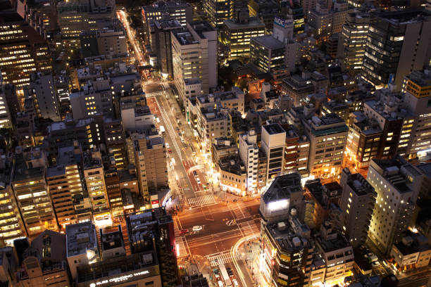 istock Aerial view of Tokyo at night 656732888