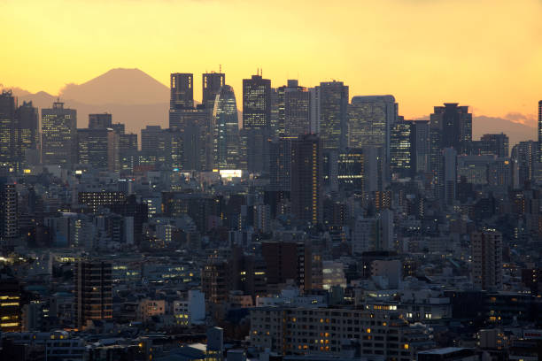 istock Morning Tokyo City and Mt. Fuji 656733196