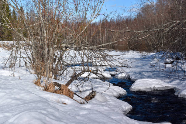 istock Little stream in the forest with snow on both sides 656737330