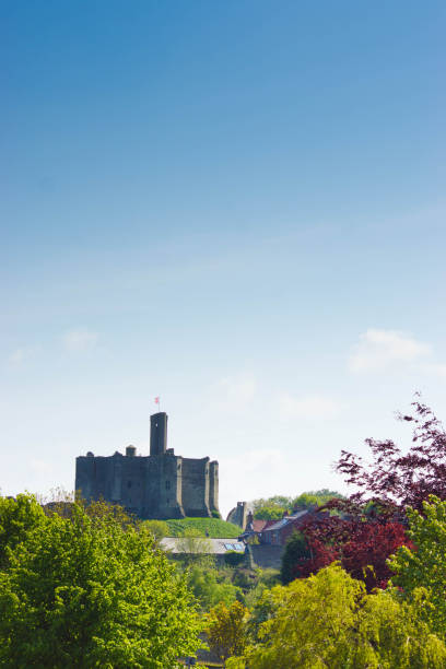 blick über bäume in richtung warkworth castle - warkworth castle stock-fotos und bilder