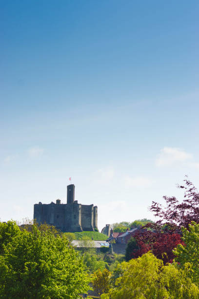 vue sur arbres vers le château de warkworth - warkworth castle photos et images de collection