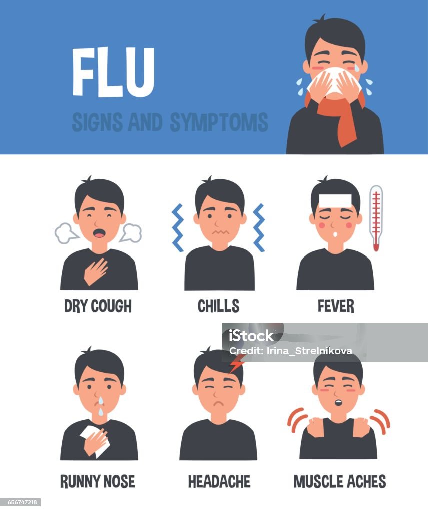 Flu symptoms Flu vector infographic. Flu symptoms. Infographic elements. Cold And Flu stock vector
