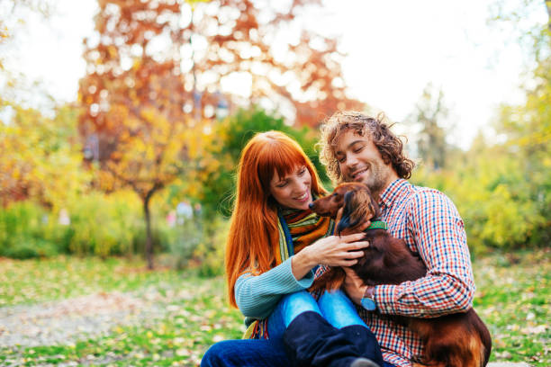 istock Couple in park with dachshund dogs 656752992