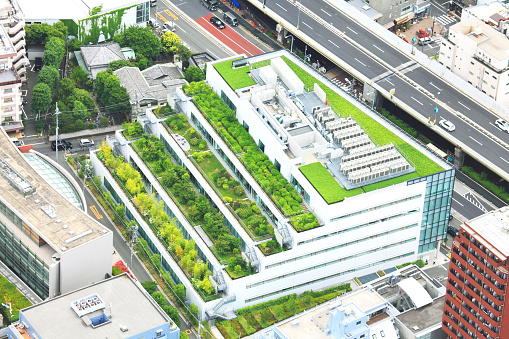Tokyo high-rise building rooftop garden