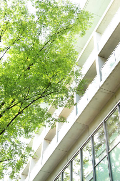 istock Tokyo trees peek through the trees from an office building 656758628