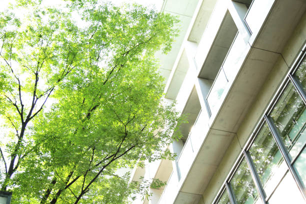 istock Tokyo trees peek through the trees from an office building 656758644
