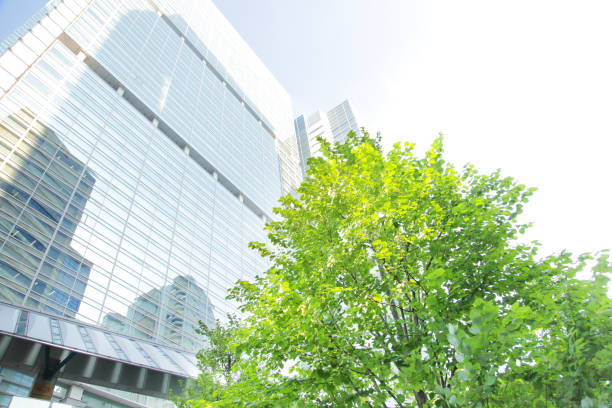 istock Tokyo trees peek through the trees from an office building 656758846