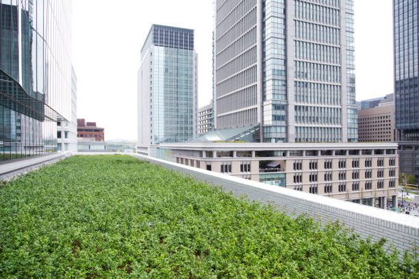istock View of Tokyo at Marunouchi 656759132