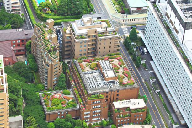 Tokyo high-rise building rooftop garden