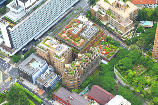 istock Tokyo high-rise building rooftop garden 656765450