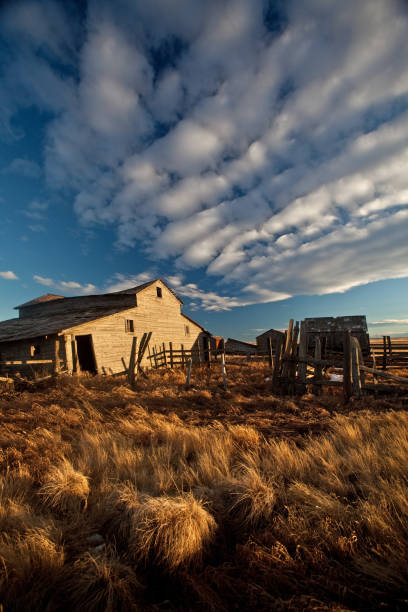 celeiro abandonado na pradaria - alberta prairie farm fence - fotografias e filmes do acervo