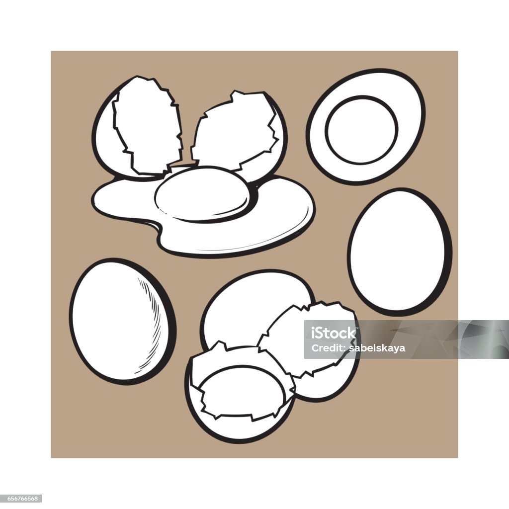 Egg Shell Draw Whole And Cracked Broken Shell Chicken Egg Composition Stock ...