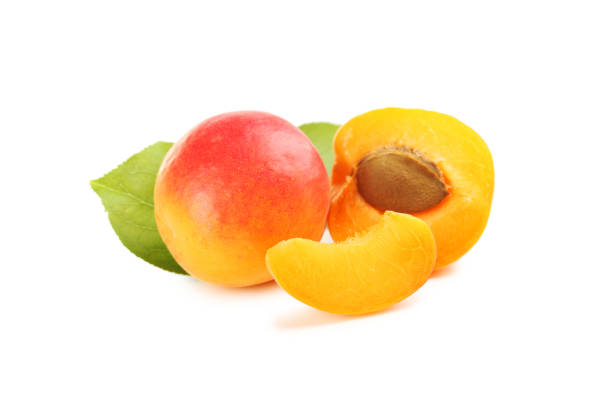 istock Ripe apricots fruit isolated on a white 656766636