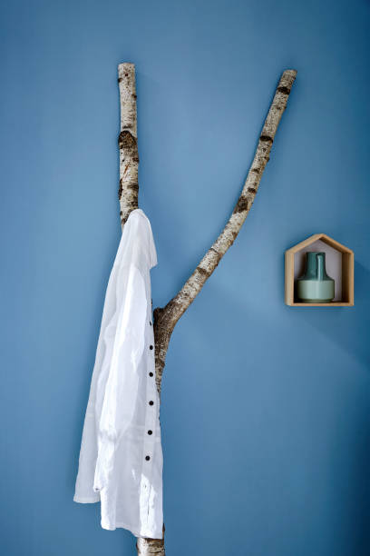 istock modern birch wardrobe with shirt on blue wall and bird house decoration 656780928