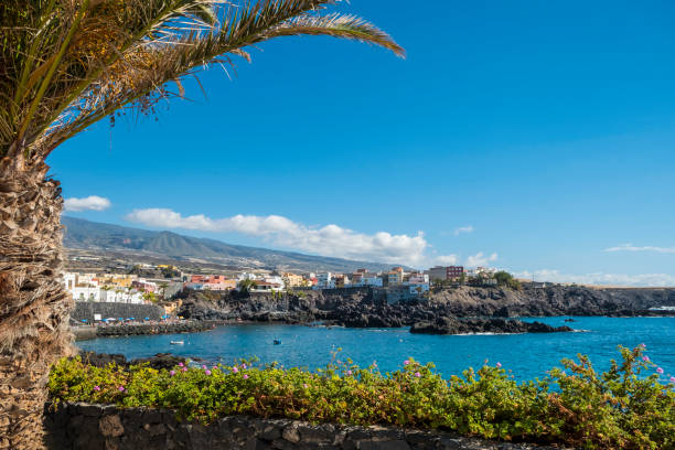 istock Landscape view of Alcala Tenerife 656783298