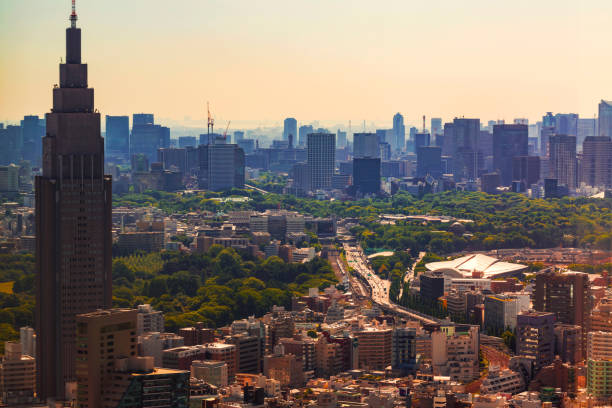istock View of Tokyo, Japan from above 656783644
