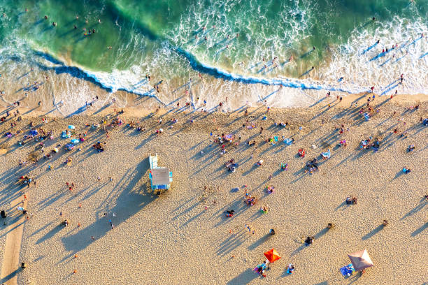 Santa Monica beach from above Aerial view of the beach in Santa Monica, CA santa monica stock pictures, royalty-free photos & images
