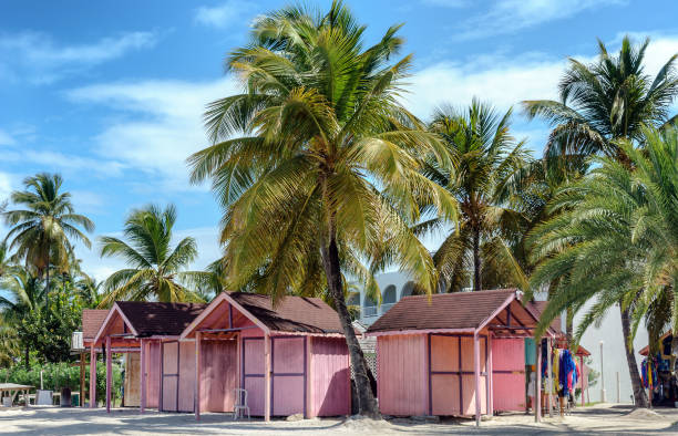 Pink beach huts on tropical Antigua island Pink beach husts near lush palm trees in beautiful Antigua island, in the Caribbean pretty beach house stock pictures, royalty-free photos & images
