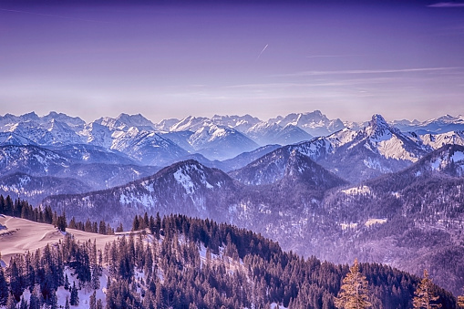 panoramic view of snowy mountains and forest