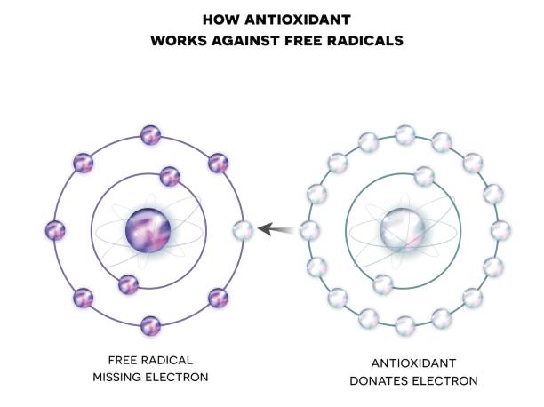 ilustraciones, imágenes clip art, dibujos animados e iconos de stock de cómo funciona el antioxidante contra los radicales libres - antioxidant