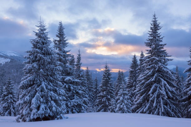 istock Colorful sky during sunset above the mountains 656794578