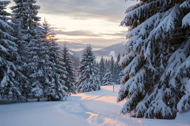 istock Winter sunset over the forested mountain valley 656794588