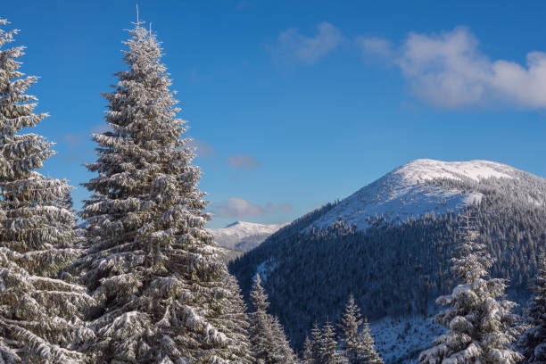 istock Winter landscape with snow covered pine trees and mountains on the horizon 656794660