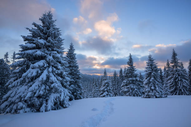 istock Colorful clouds float over  snow covered pine trees and hills 656794682