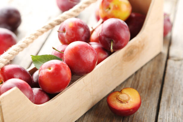 istock Fresh plums on a grey wooden table 656800296