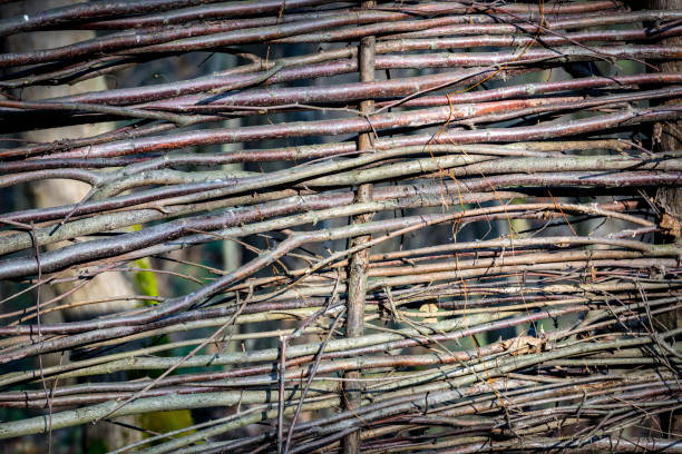 istock wattle wooden fence 656808550