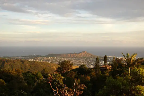 Diamondhead and the city of Honolulu, Kaimuki, Kahala, and oceanscape on Oahu on a nice day at dusk viewed from high in the mountains with tall trees in the foreground.