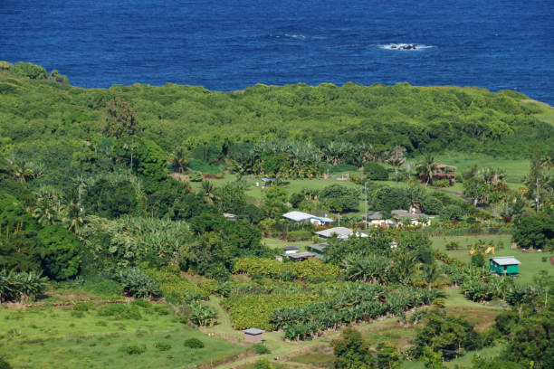 istock Aerial View of Small ocean side farm community 656815452