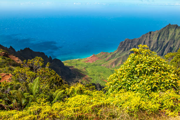 istock Kalalau Valley, Kauai 656825444